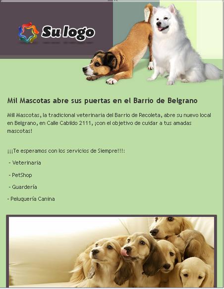 plantilla_de_email_marketing_para_veterinaria_y_mascotas